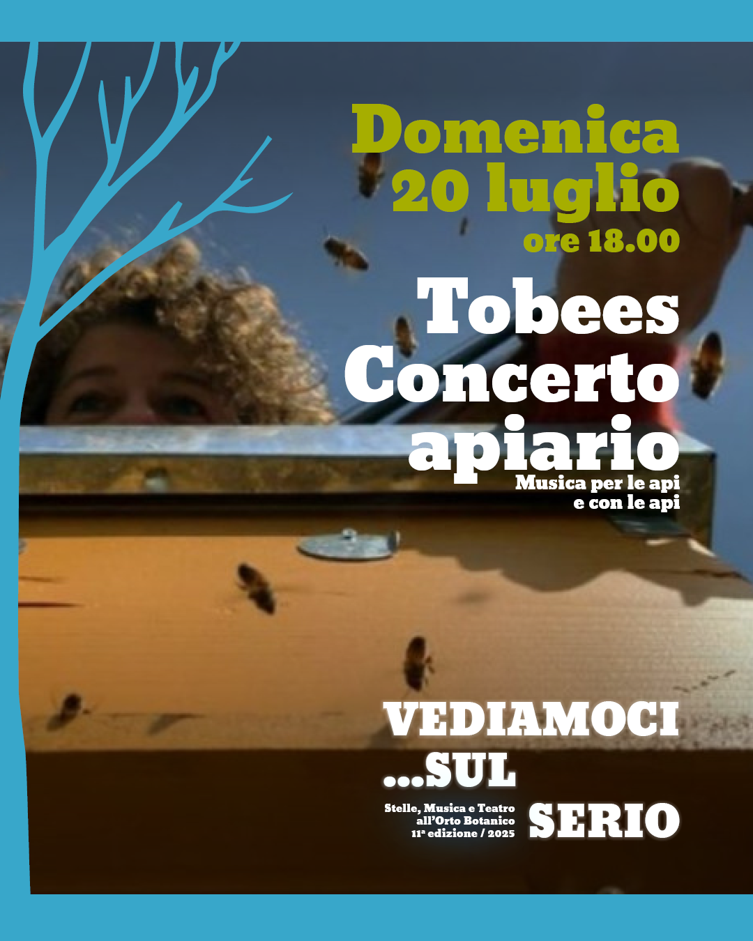 Immagine che raffigura Tobees - Concerto Apiario